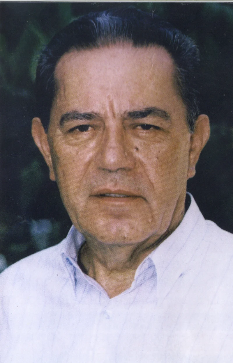 Δημήτρης Παναγόπουλος, 4ος πρόεδρος Ε.Κ.Η.